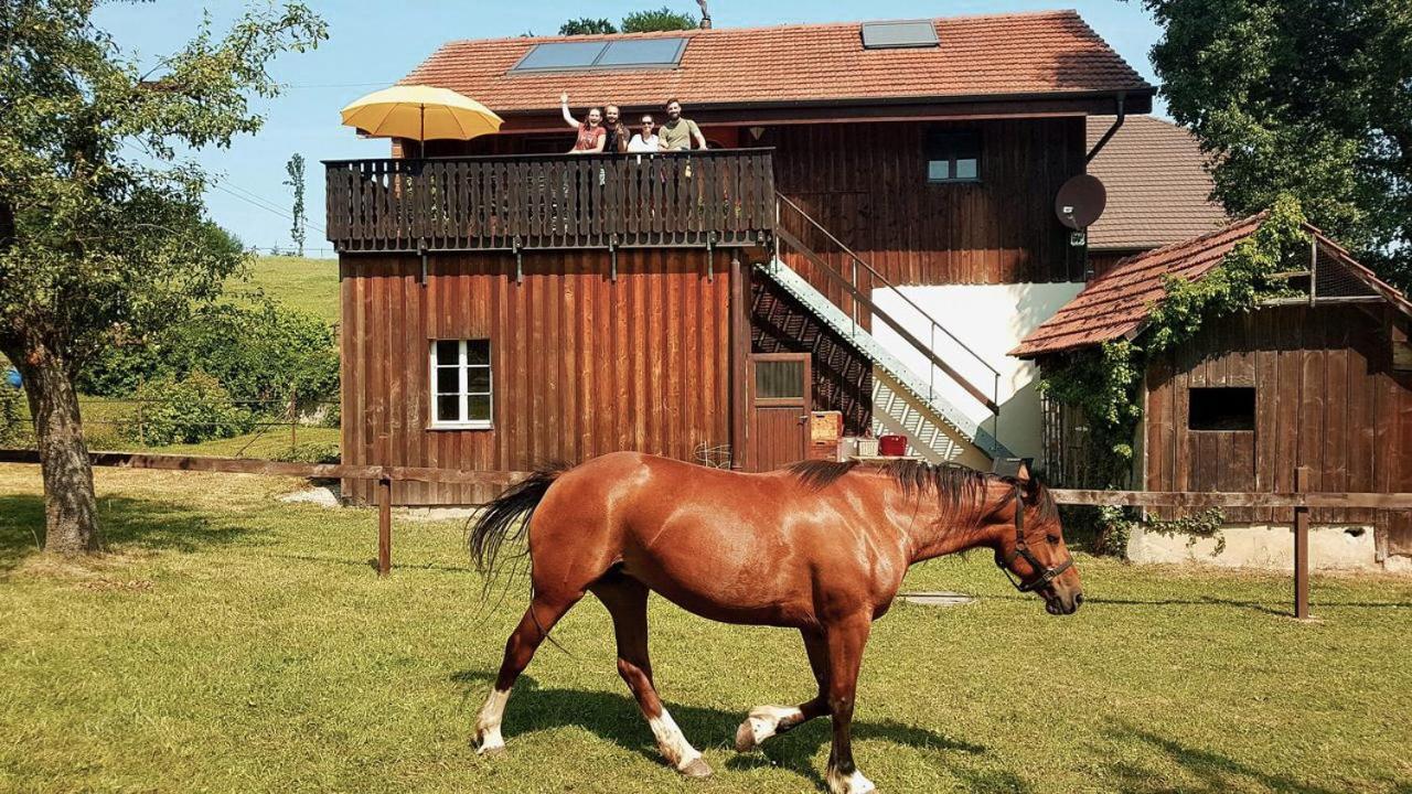 Guesthouse La Moliere, 3 Bedrooms, Private House, Horse Farm, Full Nature Murist Exterior foto